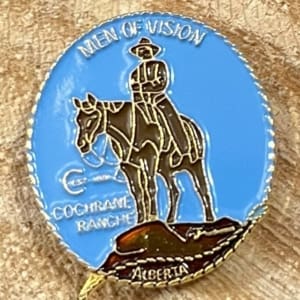 Man of Vison Pin